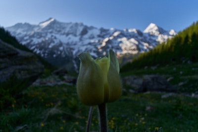 Willkommen im Paradies - Hotel Fafleralp - Lötschental